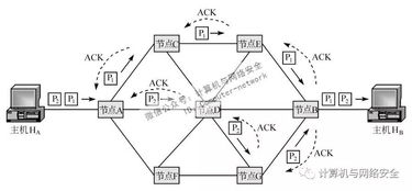 數(shù)據(jù)通信之?dāng)?shù)據(jù)交換技術(shù)概要